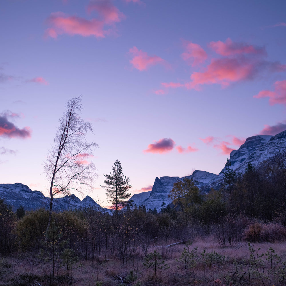 naout mountains